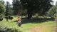 Cem Peace Memorial Cemetery.jpg
