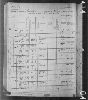1880 United States Federal Census(11).jpg