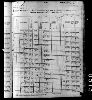 1880 United States Federal Census(49).jpg