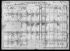 1910 United States Federal Census(117).jpg